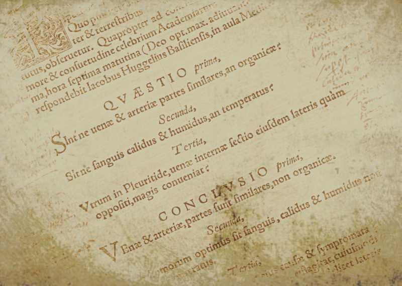 El arte de la&nbsp;conexión